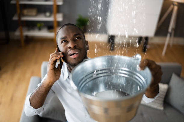 Lakewood Park, FL Water damage restoration Company