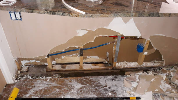Best Basement water damage restoration  in Lakewood Park, FL