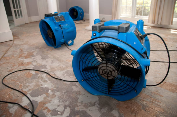 Best Flooded house restoration  in Lakewood Park, FL