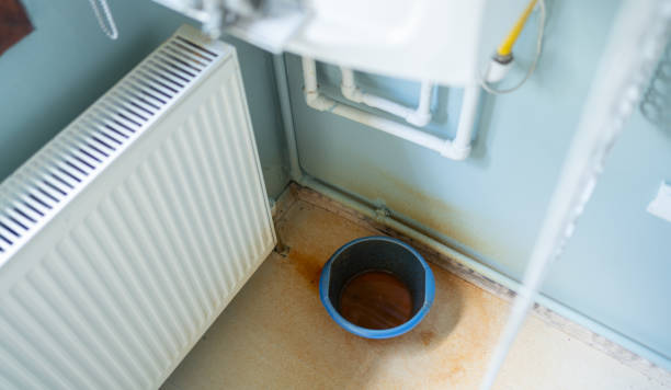 Best Sewage cleanup and water damage restoration  in Lakewood Park, FL