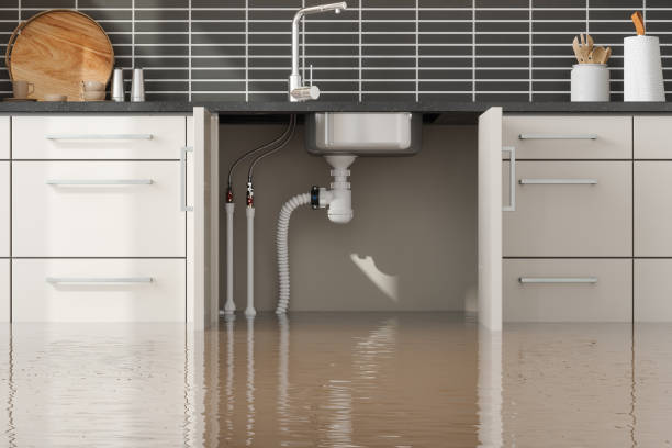 Trusted Lakewood Park, FL Water damage restoration Experts