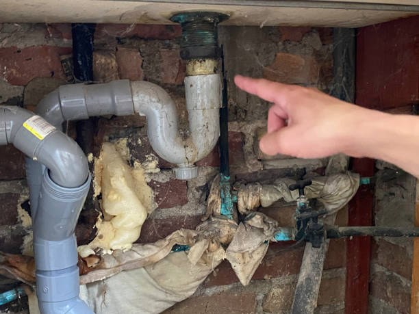 Best Residential water damage restoration  in Lakewood Park, FL