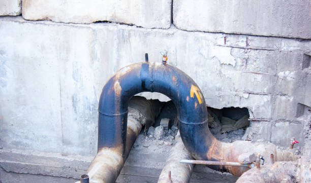 Best Carpet water damage restoration  in Lakewood Park, FL