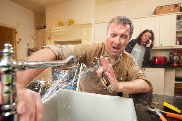 Best Mold removal after water damage  in Lakewood Park, FL